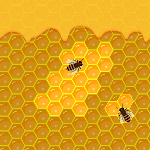 Honeycomb and sweet honey drips. — Stock Illustration Honeycomb and sweet honey drips. Vector Graphics