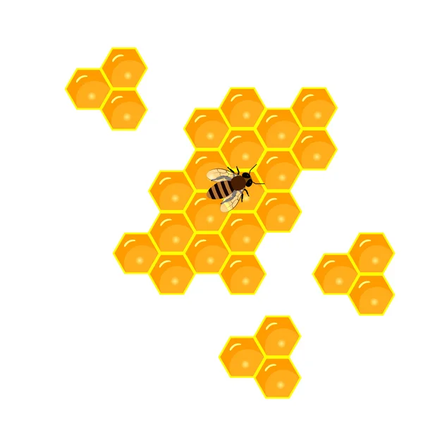 Honeycomb and sweet honey drips. — Stock Illustration Honeycomb and sweet honey drips. Stock Vector