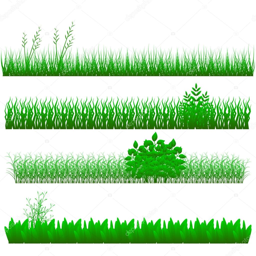 grass, shrubs. Textures illustrated images