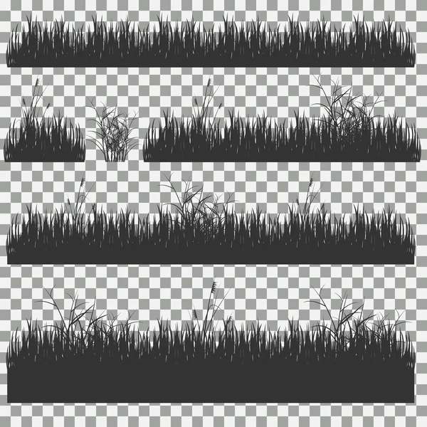 çim, çalılar. Çim türleri kümesi. Saydam bir arka plan üzerinde çim kümesi.