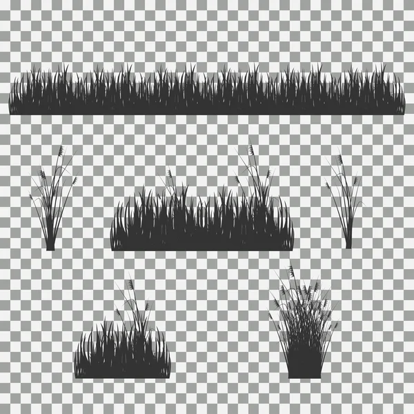 çim, çalılar. Çim türleri kümesi. Saydam bir arka plan üzerinde çim kümesi.