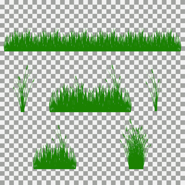 grass, shrubs. A set of various types of grass. Set of grass on a transparent background.