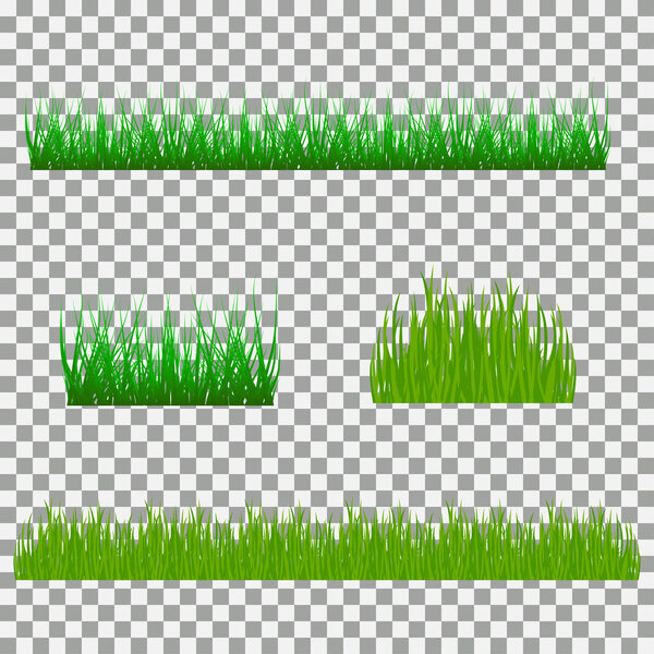 grass, shrubs. A set of various types of grass. Set of grass on a transparent background.