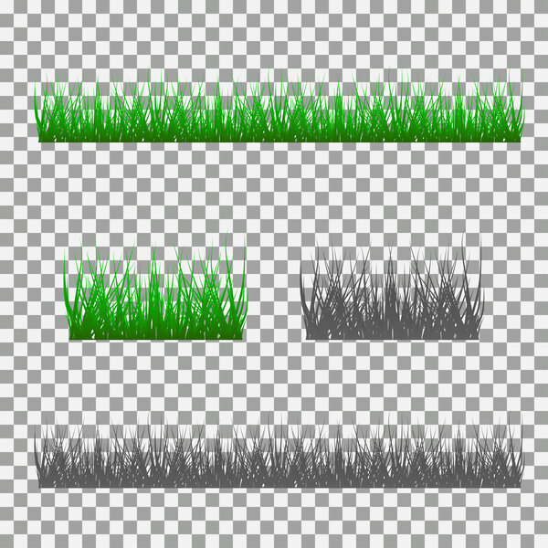 grass, shrubs. A set of various types of grass. Set of grass on a transparent background.