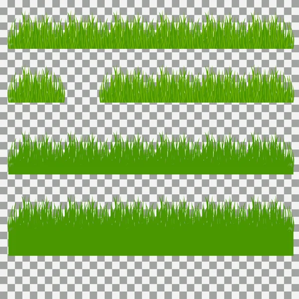 çim, çalılar. Çim türleri kümesi. Saydam bir arka plan üzerinde çim kümesi.
