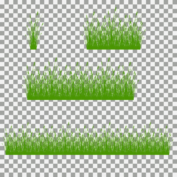 grass, shrubs. A set of various types of grass. Set of grass on a transparent background.