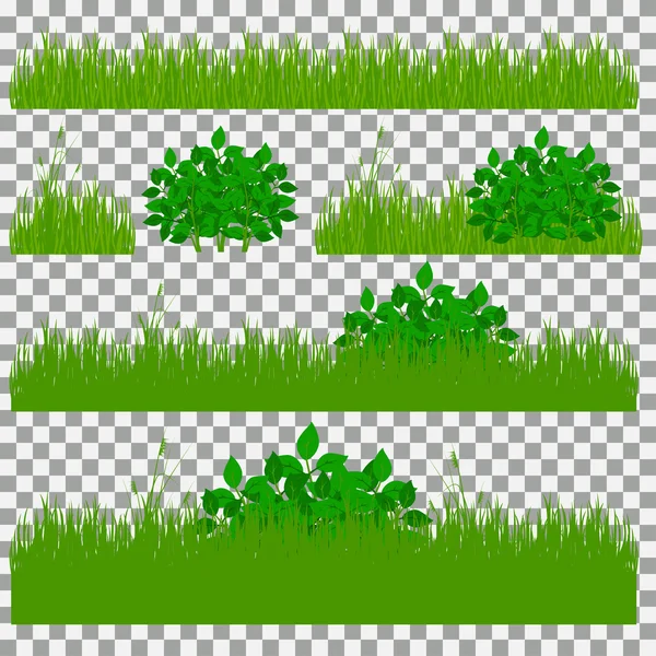 Gras, struiken. Een verzameling van verschillende soorten gras. Set van gras op een transparante achtergrond. — Stockvector