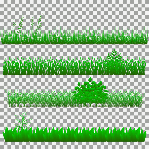 grass, shrubs. A set of various types of grass. Set of grass on a transparent background.