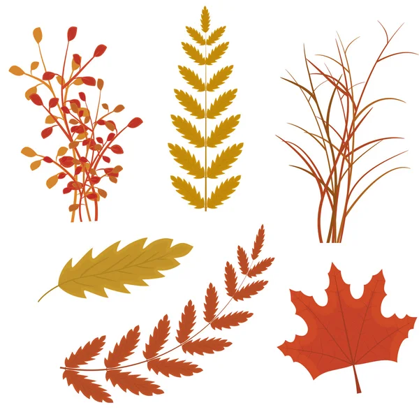 Conjunto vectorial de otoño colorido — Vector de stock