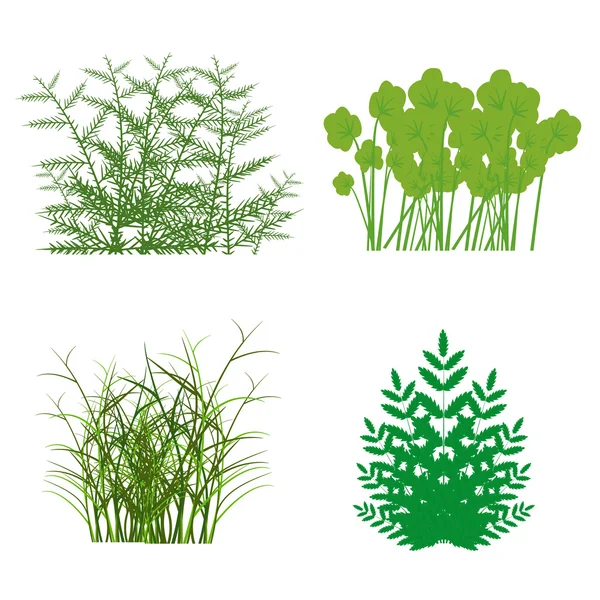 Gräs, buskar — Stock vektor