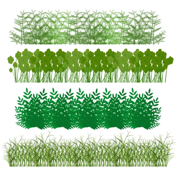 Gras, Sträucher — Stockvektor