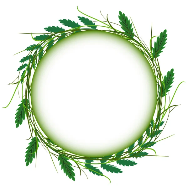 Abstract green grass circle frame vector whit background — Stock Vector