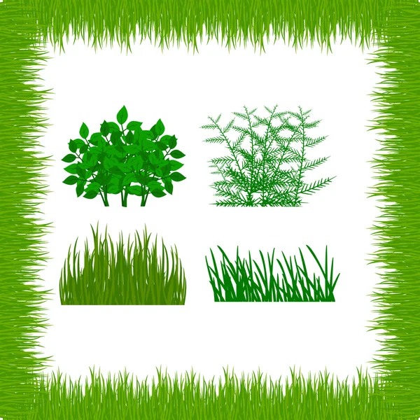 Grass, shrubs. Textures illustrated images — Stock Vector