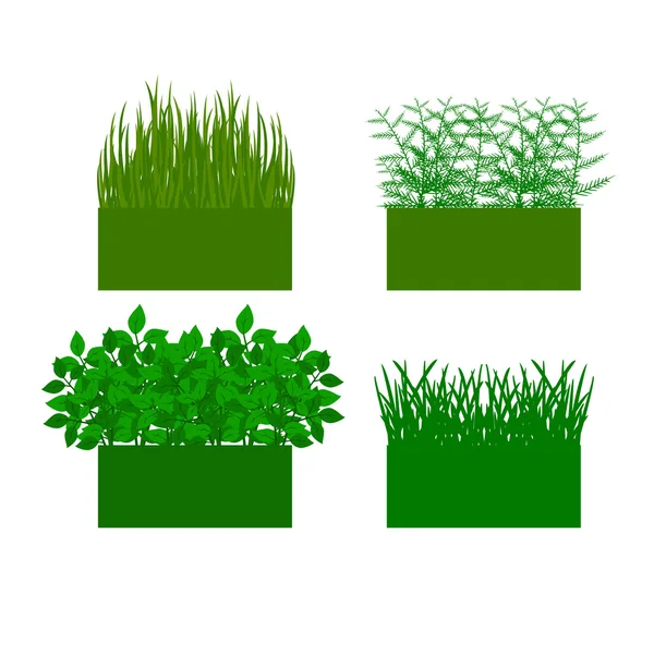 Grass, shrubs. Textures illustrated images — Stock Vector
