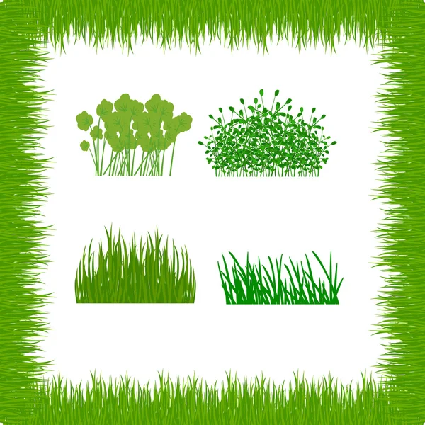 Grass, shrubs. Textures illustrated images — Stock Vector