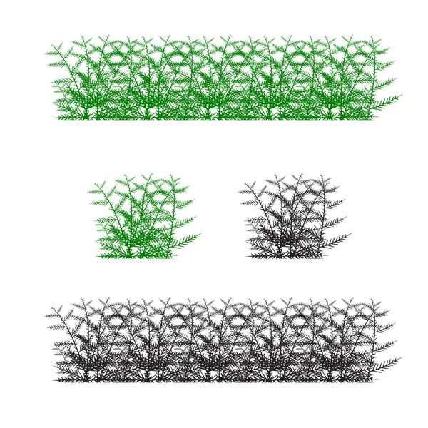 잔디, 관목입니다. 텍스처 그림된 이미지 — 스톡 벡터
