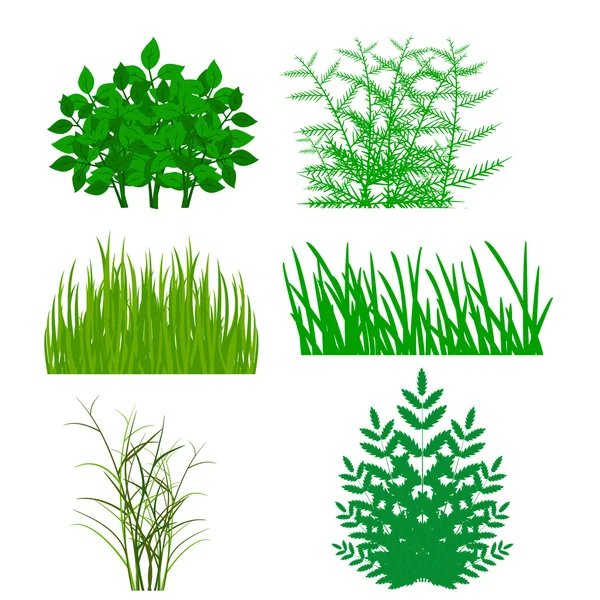 Grass, shrubs. Textures illustrated images — Stock Vector