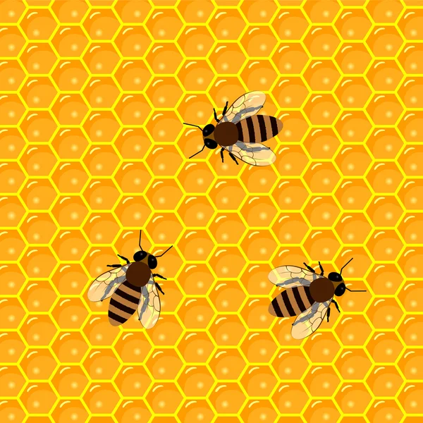 ハニカムと甘い蜂蜜のしずく。養蜂製品と養蜂. — ストックベクタ