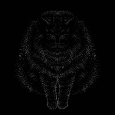 Tişört tasarımı için kedi vektörü çizimi. Şirin yazdırma tarzı kedi arkaplanı.