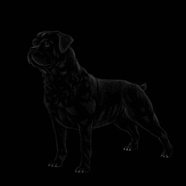 Logotipo Vetor Cão Para Tatuagem Design Camiseta Bonito Impressão Estilo —  Vetores de Stock