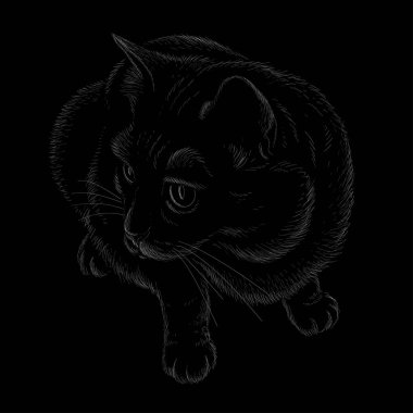 Kedi vektörü sanat illüstrasyonu tişört giysisi dövme tasarımı veya giysisi. Şirin baskı tarzı kedi yavrusu arka planı. Bu el çizimini siyah kumaş ya da tuval üzerinde yapmak iyi olurdu.