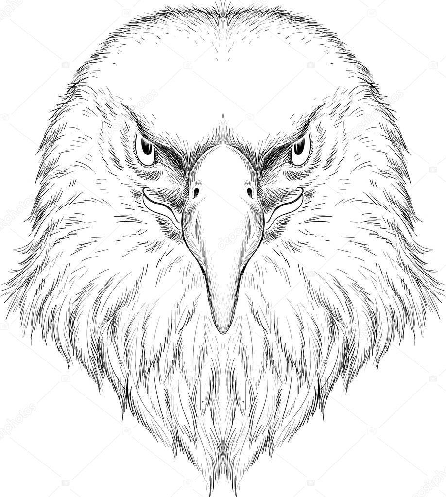 The Vector logo of eagle for tattoo or T-shirt design or outwear.  Hunting style eagle background. This hand drawing is for black fabric or canvas