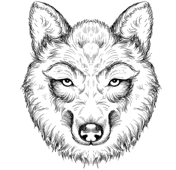 Vector Logo Dog Wolf Tattoo Shirt Design Outwear Cute Print — Stock Vector