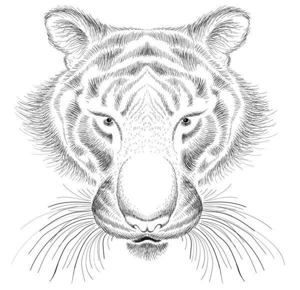 Vektorové Logo Tygr Pro Tetování Nebo Tričko Design Nebo Oblečení — Stockový vektor