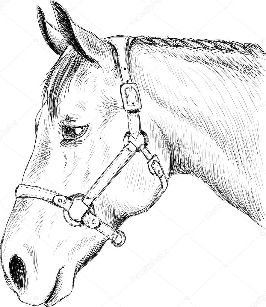 The Vector logo horse for T-shirt print  design or outwear.  Hunting style horse background. This drawing would be nice to make on the black fabric or canvas.