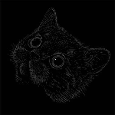 Tişört ya da dövme tasarımı için kedi vektörü çizimi. Şirin yazdırma tarzı kedi arkaplanı. 