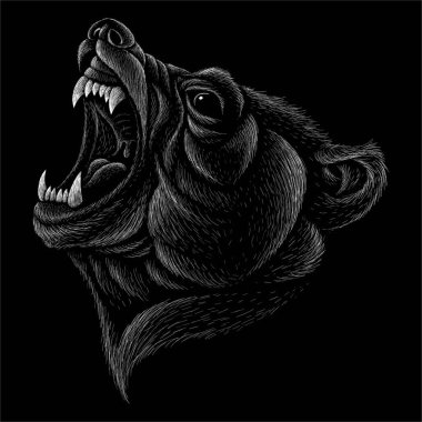 Tişört tasarımı ya da üstünlük için ayı vektör logosu. Avlanma tarzı ayı arkaplanı. 