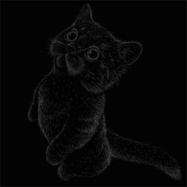 Tişört ya da dövme tasarımı için kedi vektörü çizimi. Şirin yazdırma tarzı kedi arkaplanı.