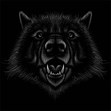 Siyah arkaplanda vektör köpek veya kurt resmi