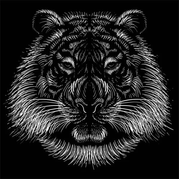 Tigre Vectoriel Sur Fond Noir — Image vectorielle