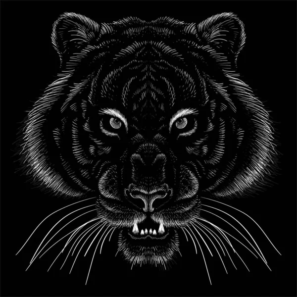 Tigre Vectorial Sobre Fondo Negro — Vector de stock