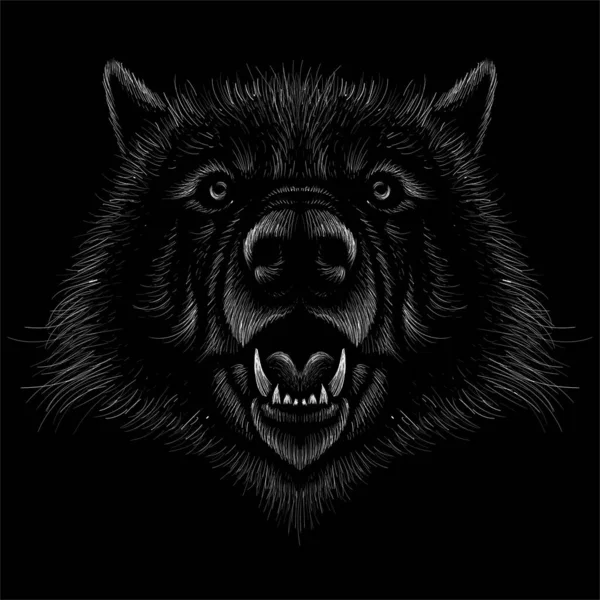 Imagem Cão Vetor Lobo Fundo Preto —  Vetores de Stock