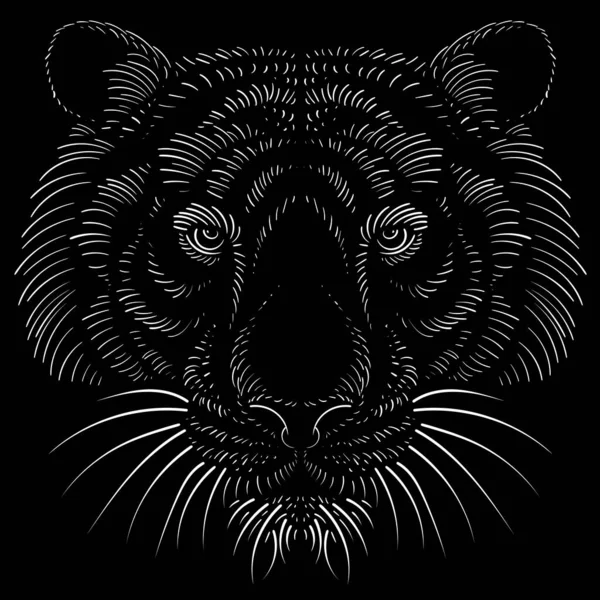 Vector Tigre Fundo Preto — Vetor de Stock