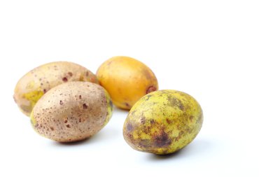 Zeytin taze meyve veya beyaz domuz Erik meyve. 