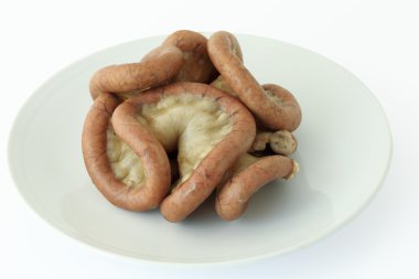 Barsak domuz kırpma yoluyla izole iç organların