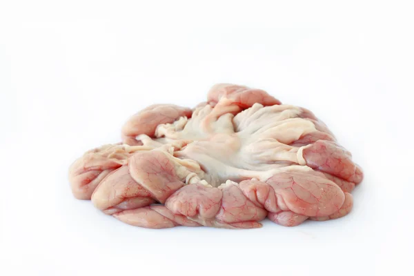 De inwendige organen van de chitterlings van varken. — Stockfoto