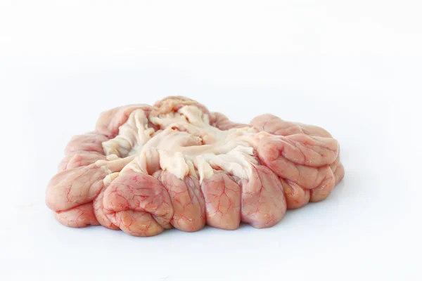 Chitterlings internal organs of pig. — Stock Photo, Image