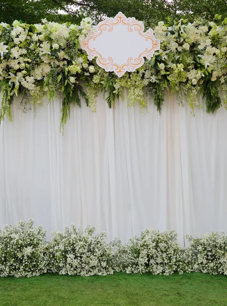 Virágok fehér és zöld háttér — Stock Fotó