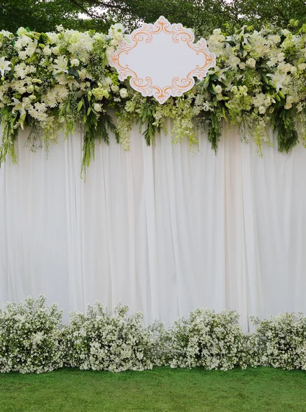 White and green backdrop flowers — Stock Photo, Image