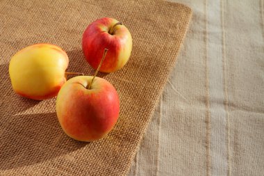 küçük gala elma çuval üzerinde.