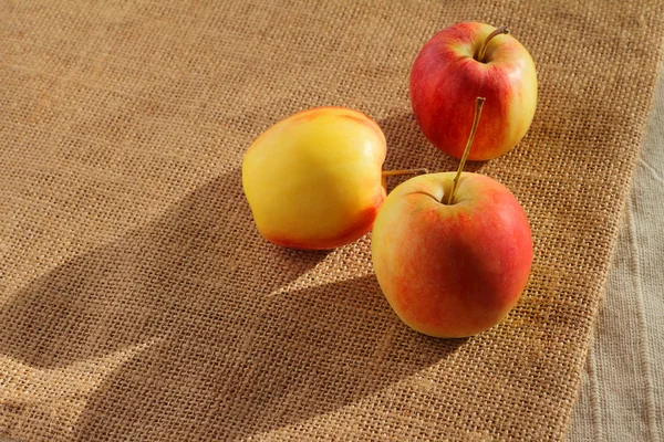 Pequeña manzana de gala sobre saco . — Foto de Stock