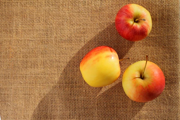 Vista superior de la pequeña manzana de gala sobre el saco . — Foto de Stock