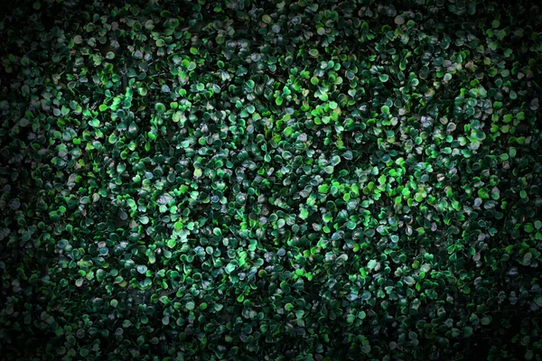Close up of turf texture for background. — Stock Photo, Image