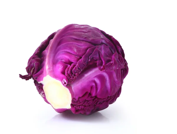 Head of red cabbage over white. — Stock Photo, Image