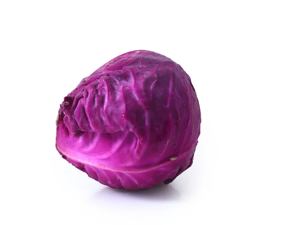 Head of red cabbage over white. — Stock Photo, Image