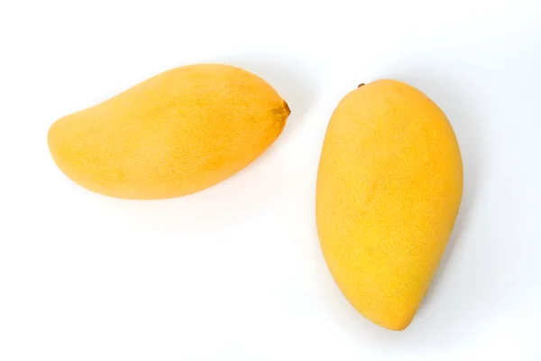 Dos mangos dorados maduros sobre blanco — Foto de Stock